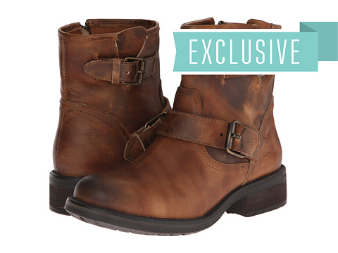 Steve Madden Exclusive - Damiannn Brown Leather - Zappos Free ...