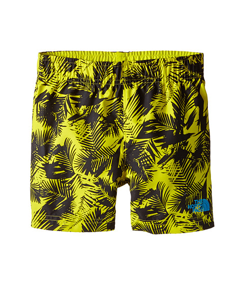 The North Face Kids Hike/Water Shorts (Toddler) 