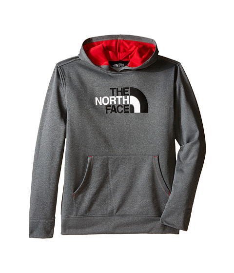 The North Face Kids Surgent Pullover Hoodie (Little Kids/Big Kids) 