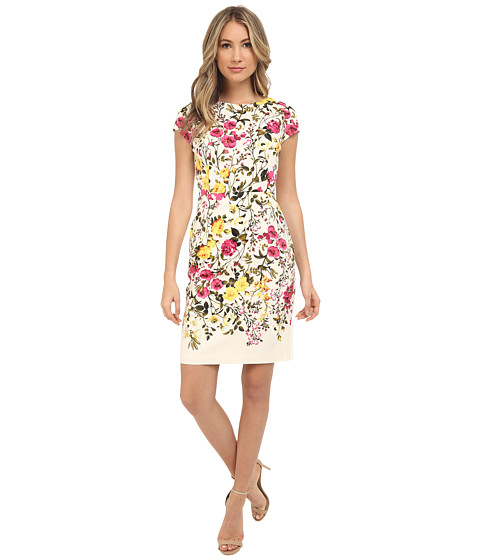 Adrianna Papell Vintage Floral Solid Back Sheath Dress
