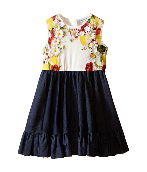 Dolce & Gabbana Kids Fiori Denim Dress (Toddler/Little Kids) 