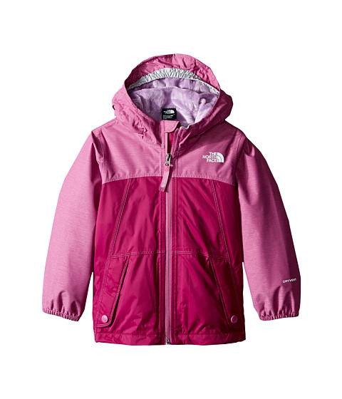 The North Face Kids Warm Storm Jacket (Toddler) 
