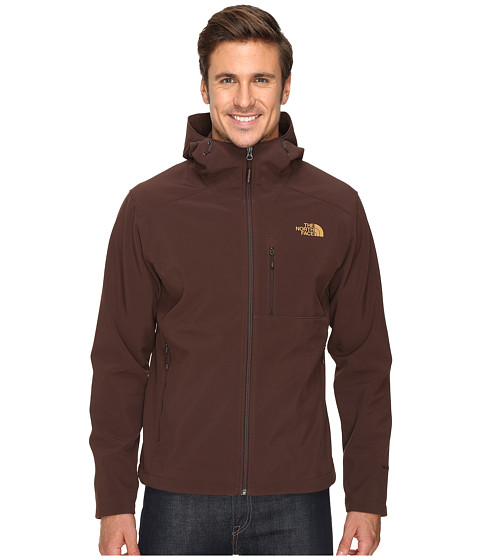 The North Face Apex Bionic 2 Hoodie 