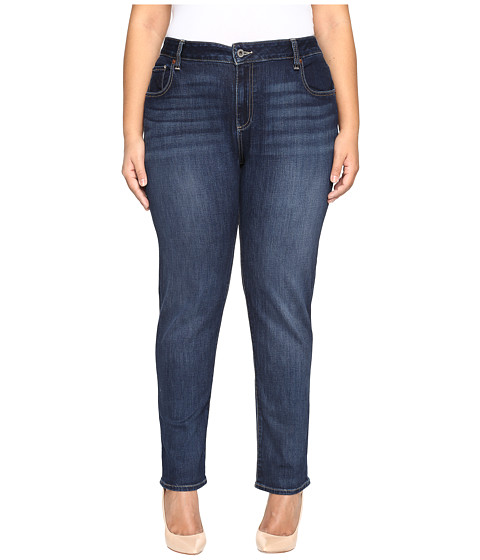 Lucky Brand Plus Size Ginger Skinny in Barrier 