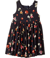 Dolce & Gabbana Kids - Back To School Floral Dress (Toddler/Little Kids)