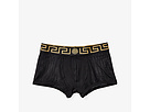 Mesh Trunks